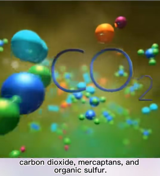 5a 分子筛用于液化石油气脱co2 3